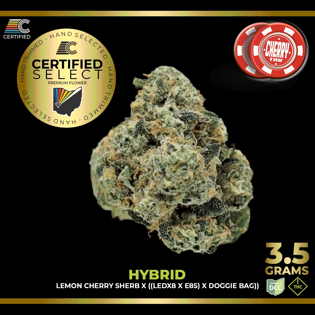 The Cream Strain | Hybrid Cannabis Flower | CERTIFIED Cultivators